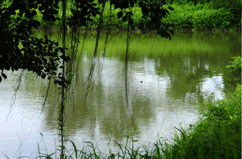 ��䓳���Է���M����˼