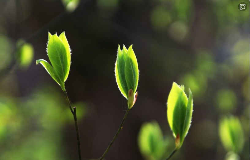 ��䓳���Է���ֵ�����