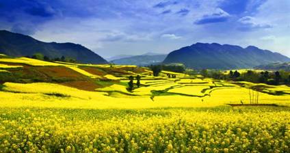 ��䓳���Է��������һ���Ͳ˻�