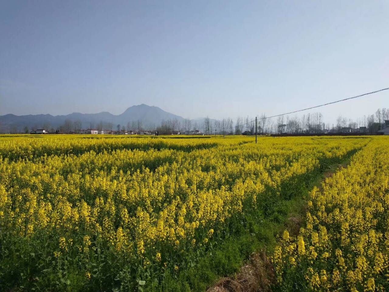 ��䓳���Է�������f�R��-���Ͳ˻���