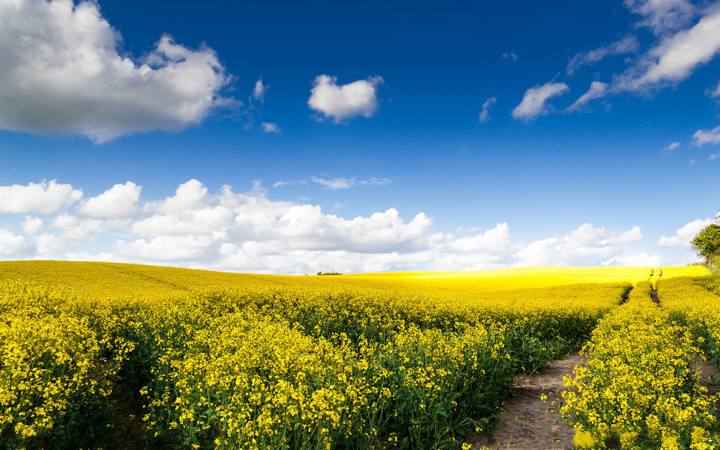 ��䓳���Է������һ��˻��S