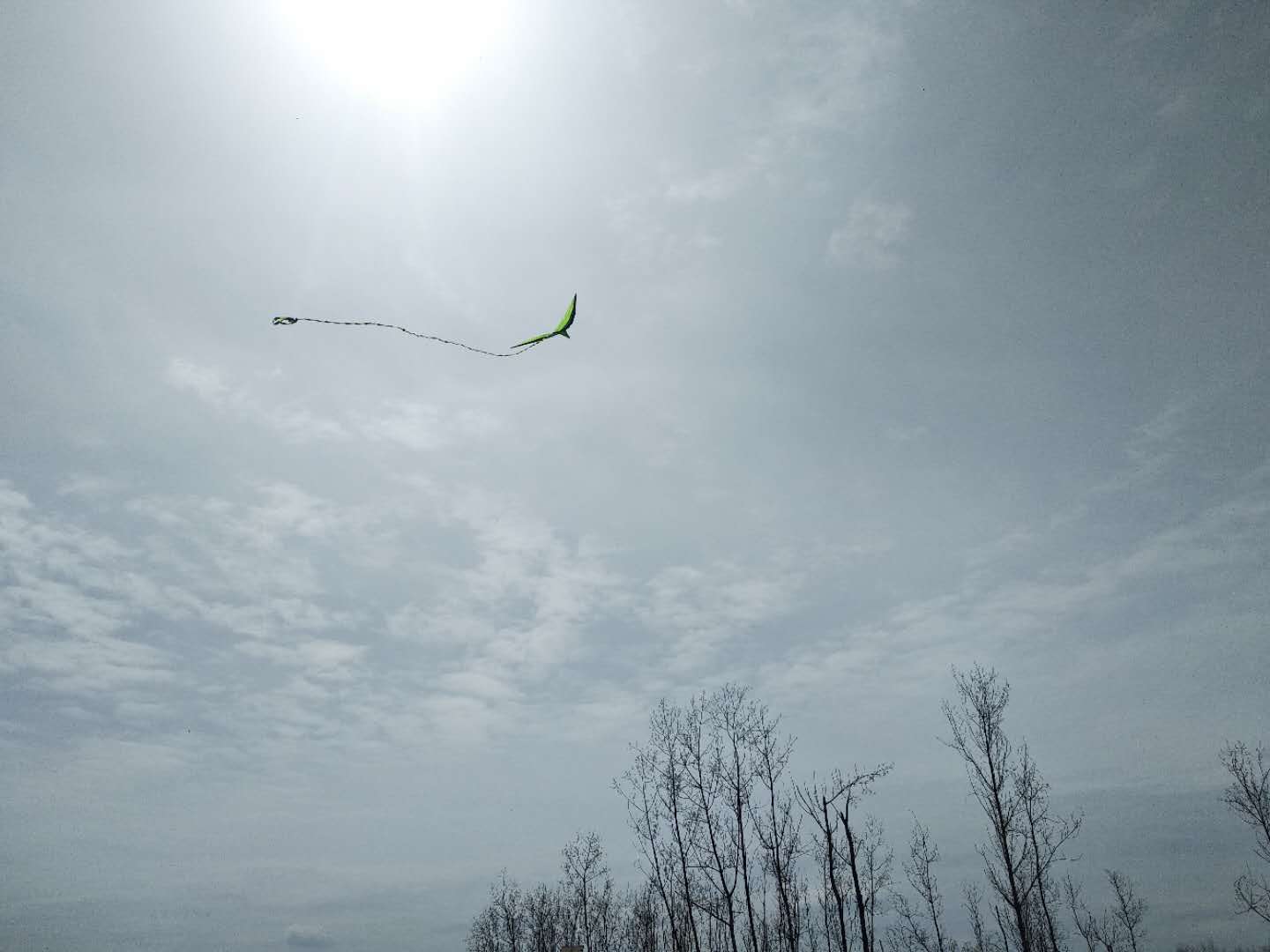 ��䓳���Է����ʼ�нK ������;