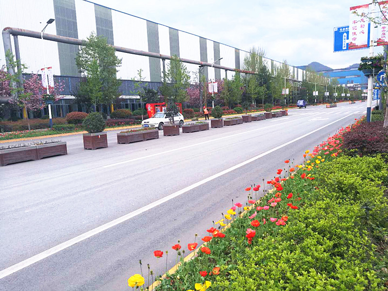 【美麗漢鋼】美翻了,一起到漢鋼來賞花! 【美麗漢鋼】美翻了,一起到漢鋼來賞花!