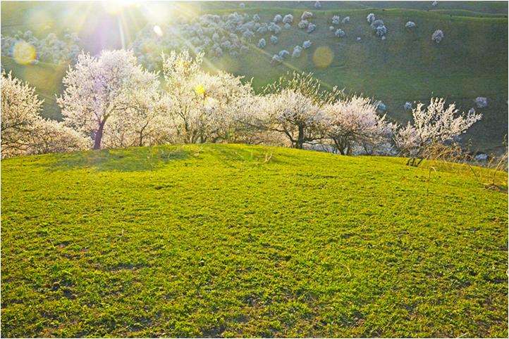 ��䓳���Է�����ܴ���Ě�Ϣ