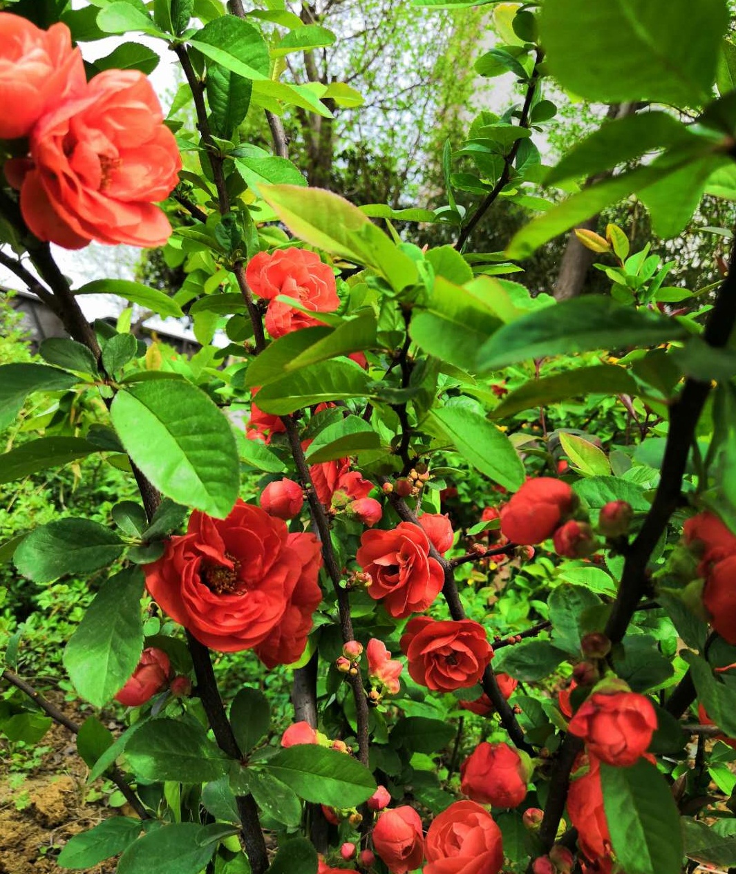 ��䓳���Է���������f