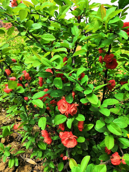 ��䓳���Է���������f