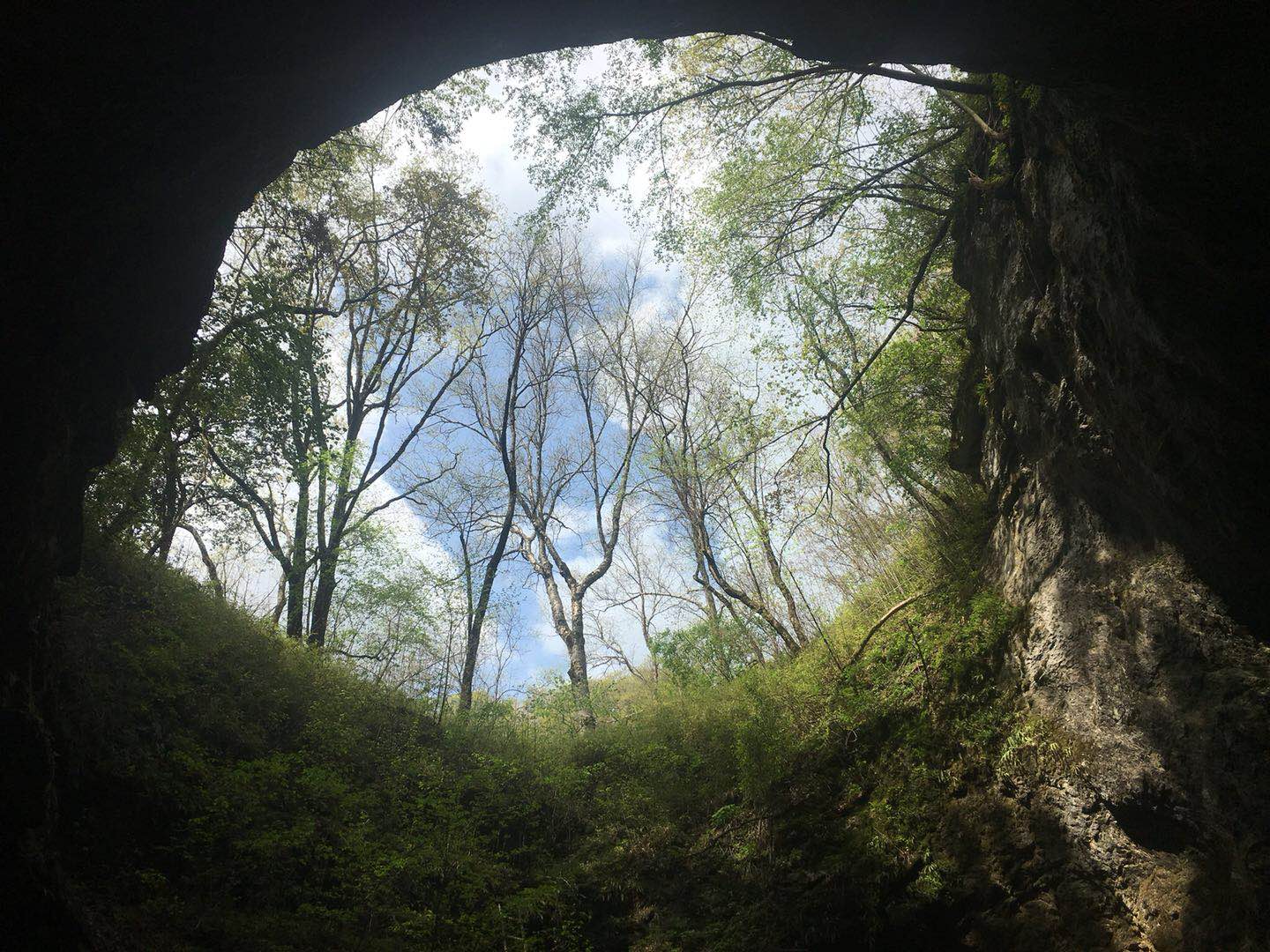 ��䓳���Է����������ӛ