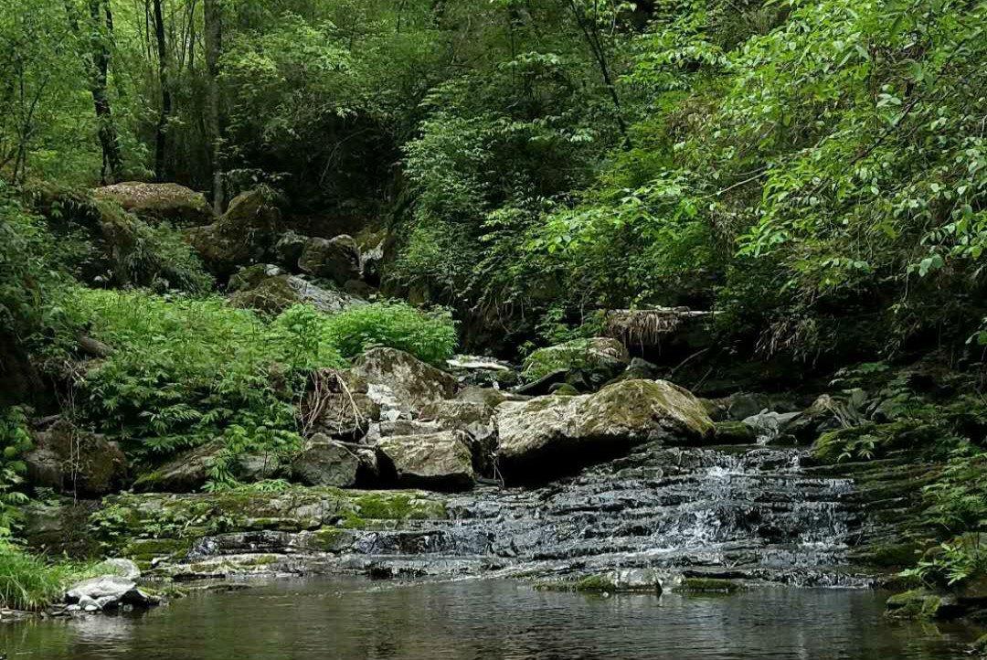 ��䓳���Է����������ӛ