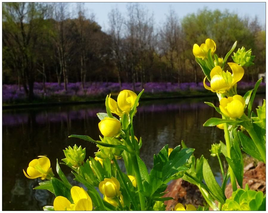 ��䓳���Է��һĨ����������