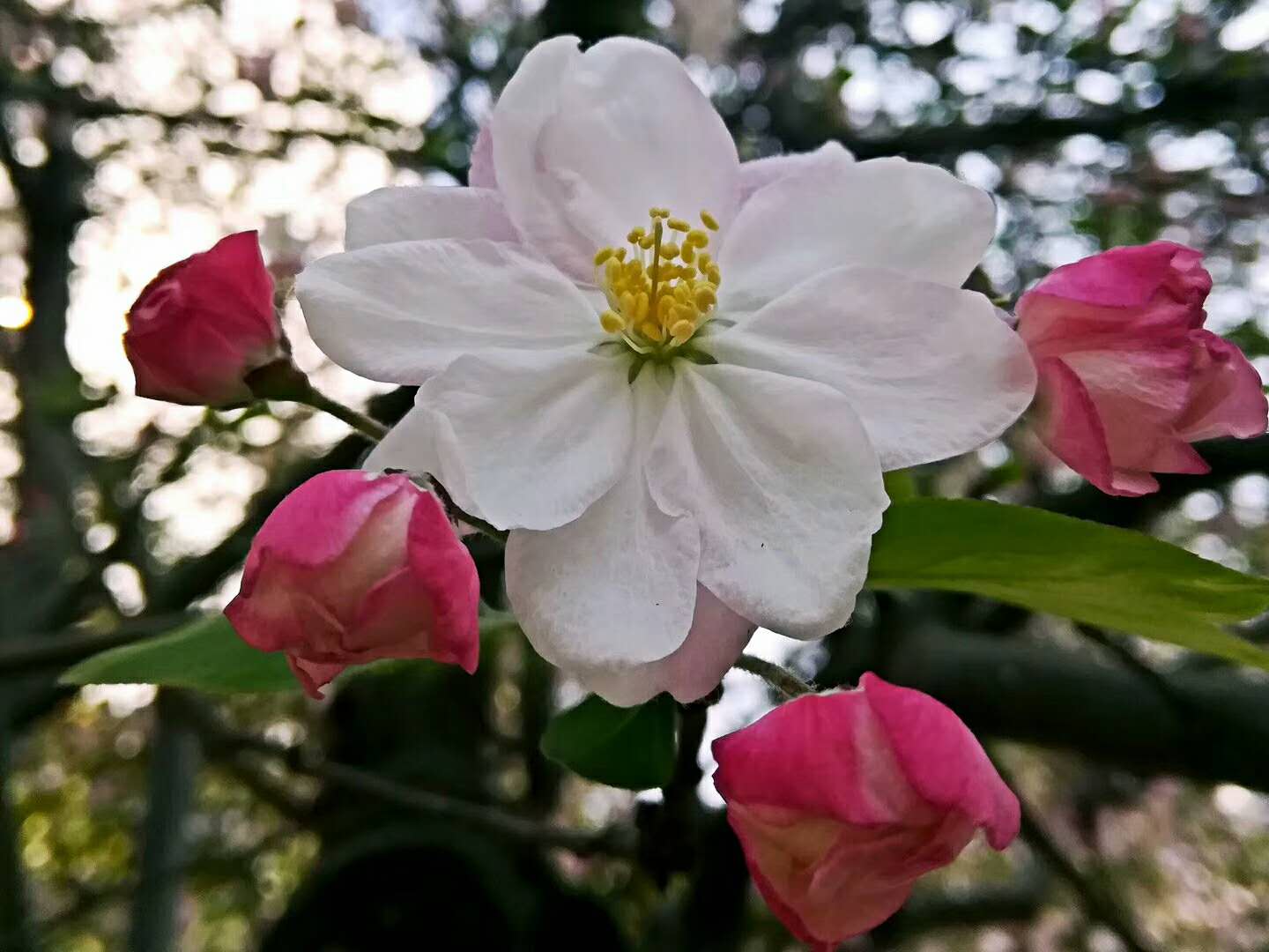 ��䓳���Է��������^