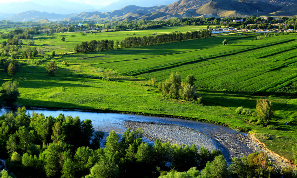 ��䓳���Է�����l��ӛ��