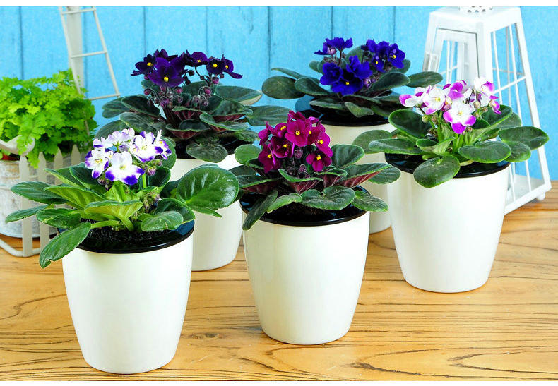 ��䓳���Է���B(y��ng)���Ę�Ȥ