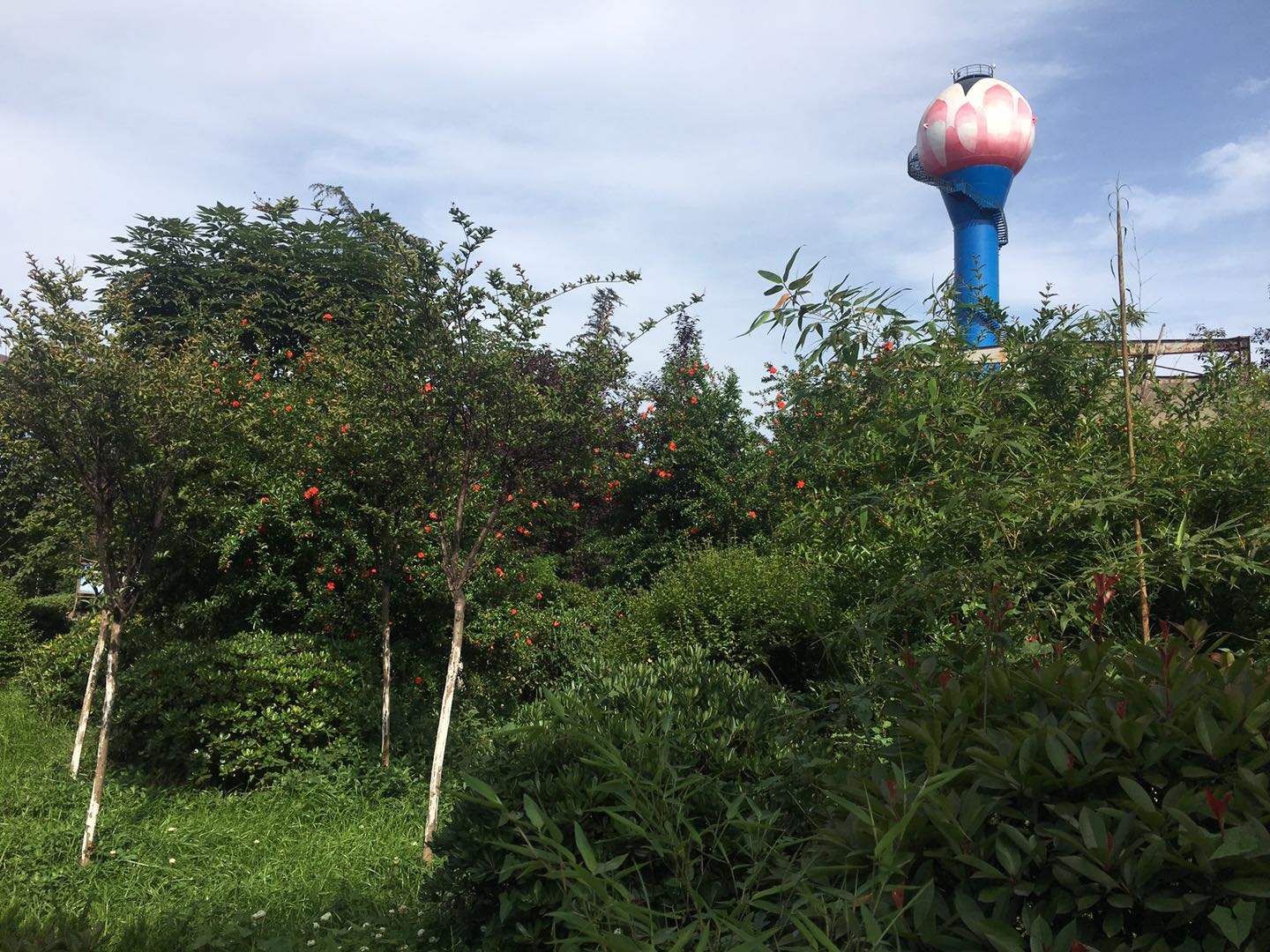 【美麗漢鋼】點滴處推動綠色發(fā)展 【美麗漢鋼】點滴處推動綠色發(fā)展