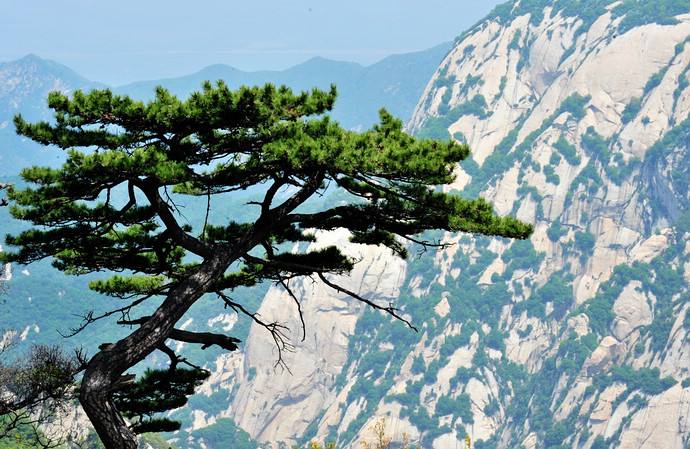 ��䓳���Է��������.ԁ��