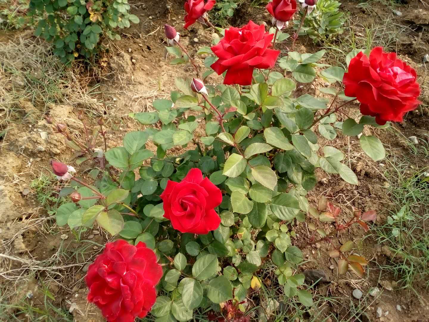 ��䓳���Է��ٝ�¼�