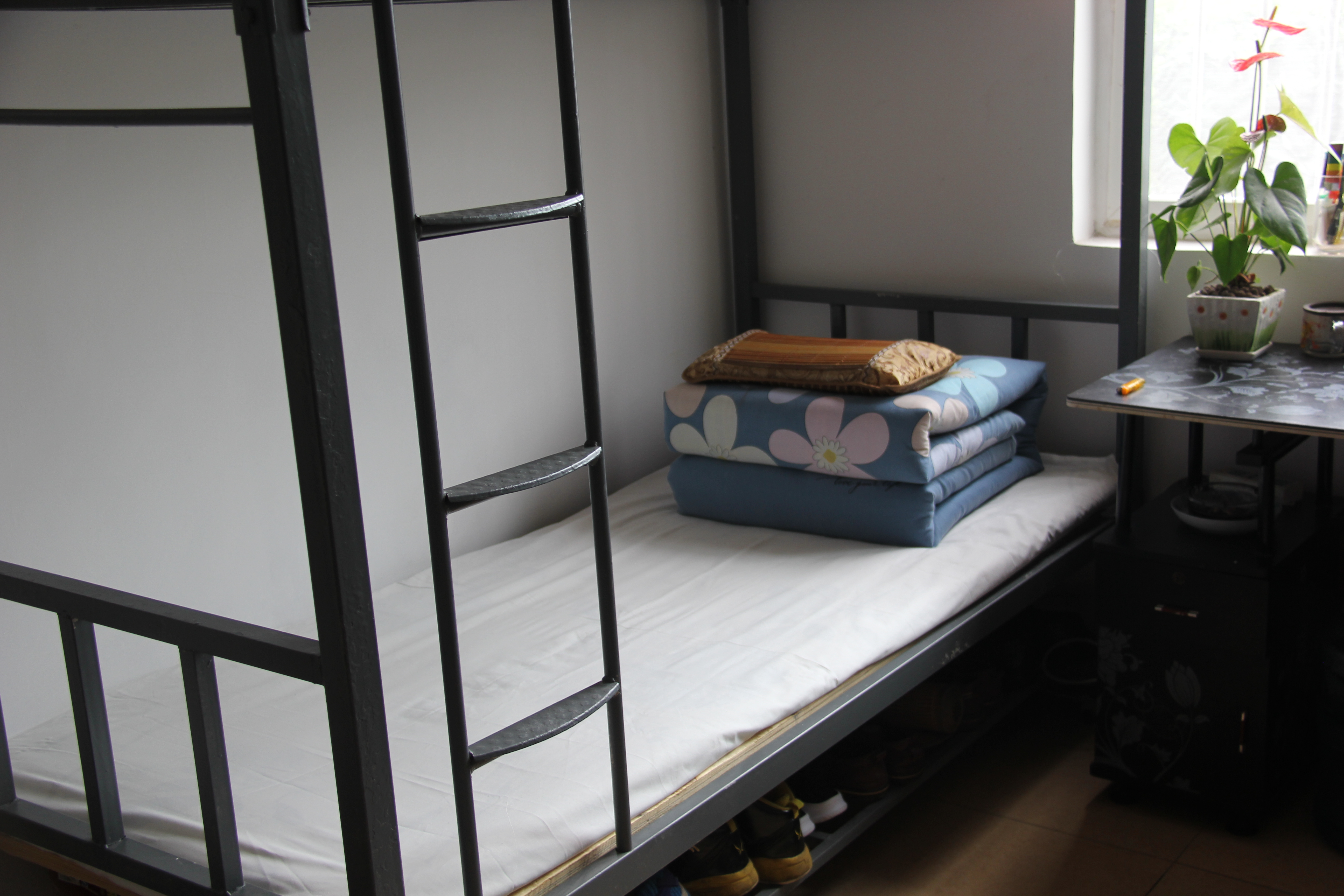 ӄӑBκڲ2019ϰꡰӰᡱuȻӈAMY