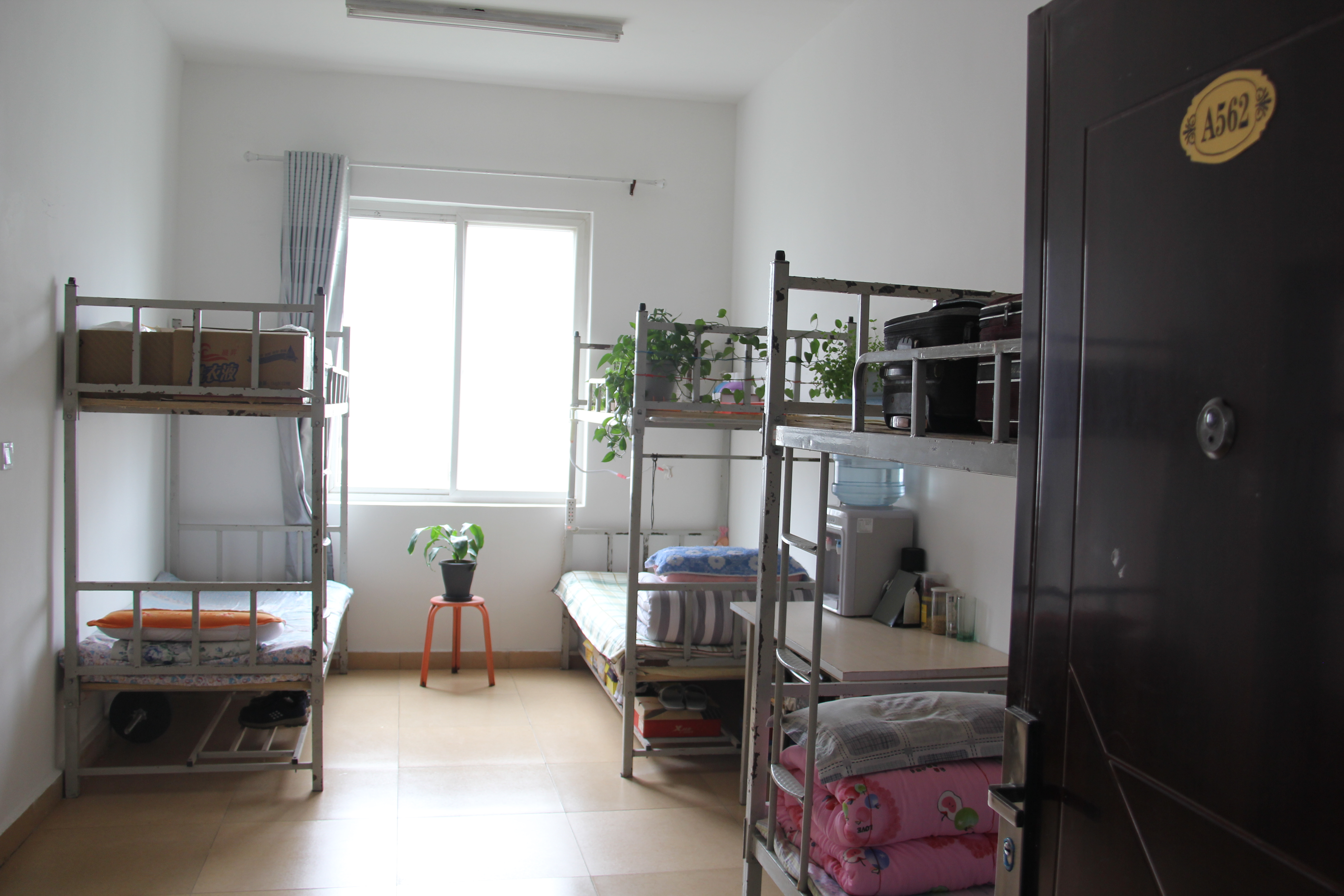 ӄӑBκڲ2019ϰꡰӰᡱuȻӈAMY