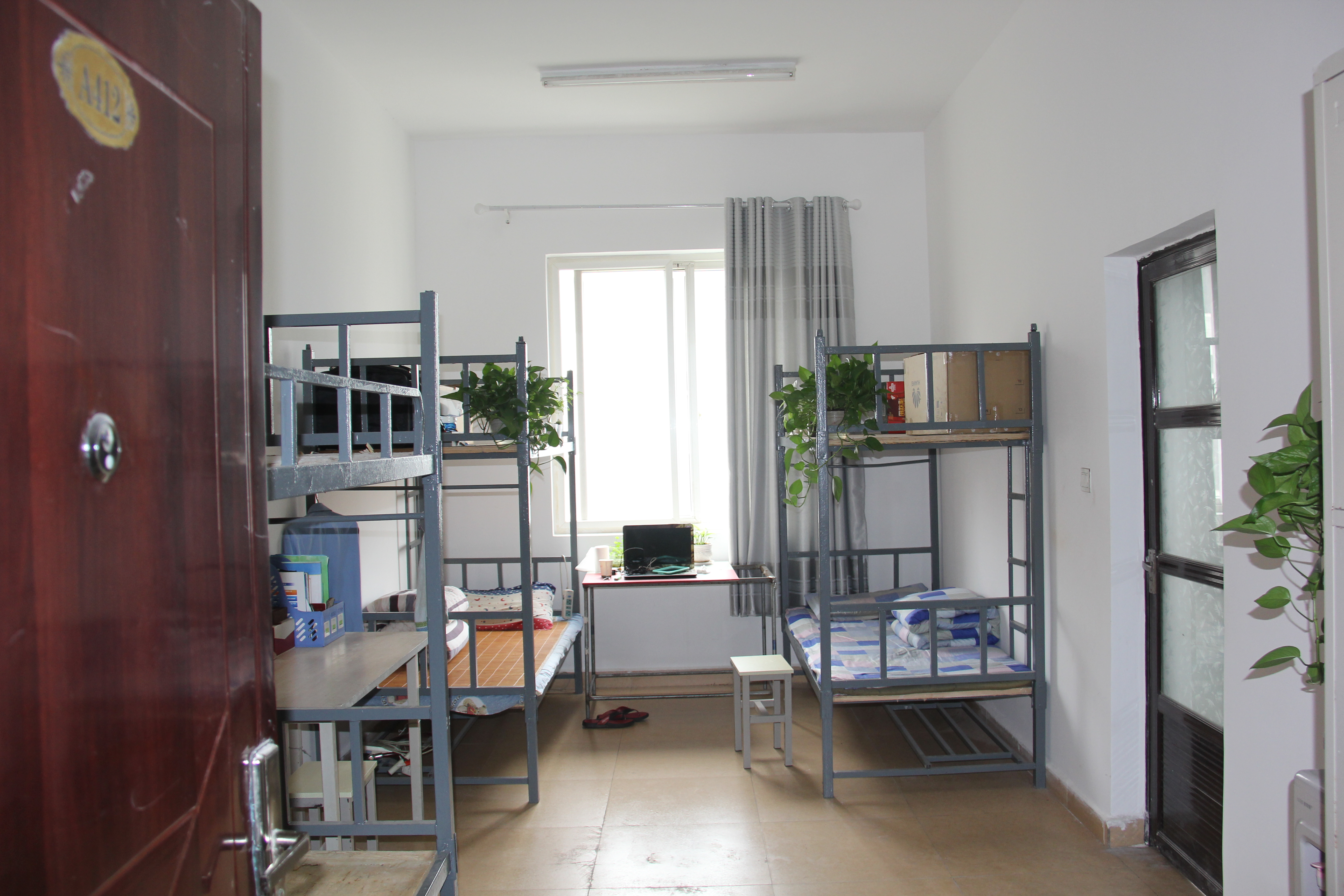 ӄӑBκڲ2019ϰꡰӰᡱuȻӈAMY