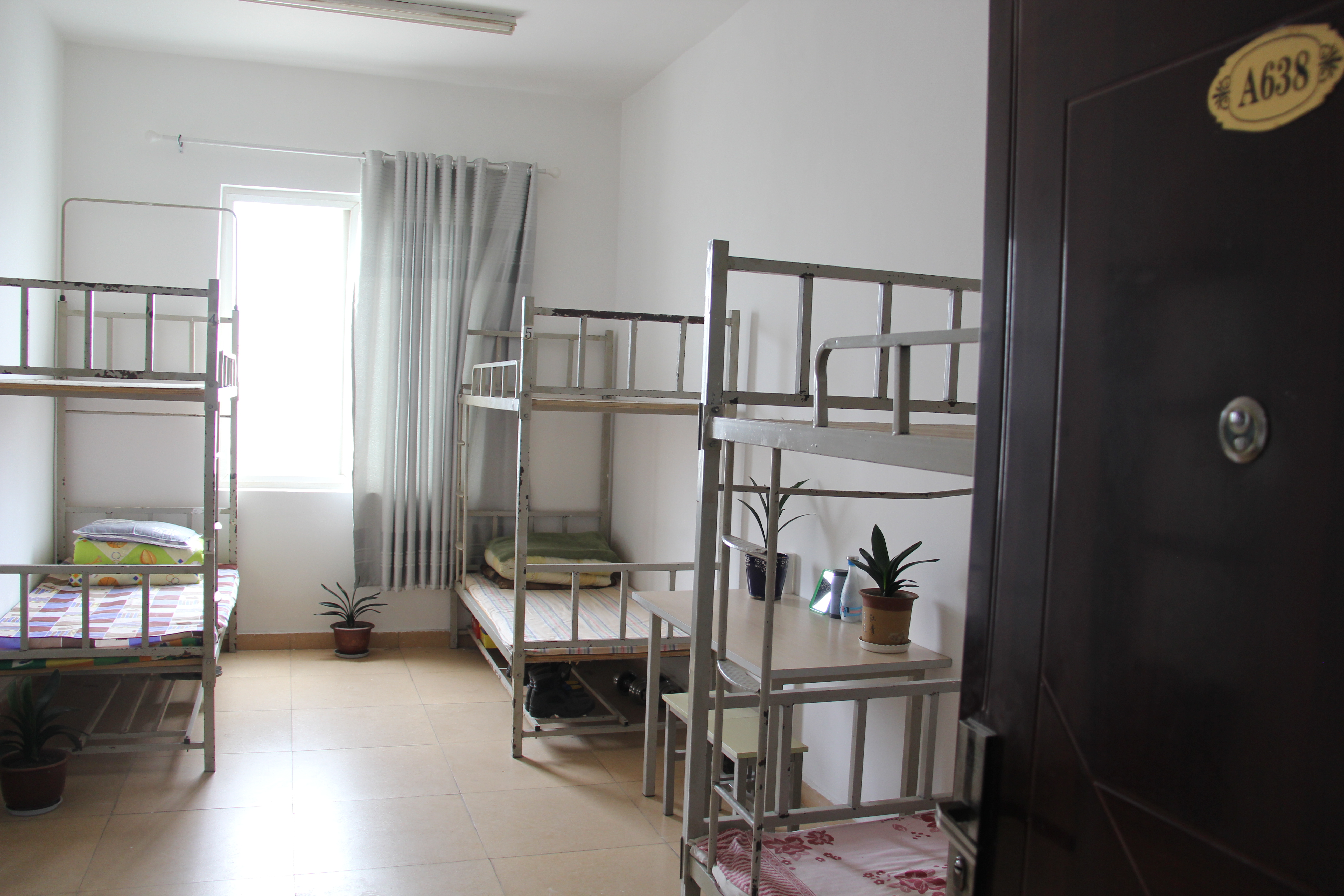 ӄӑBκڲ2019ϰꡰӰᡱuȻӈAMY