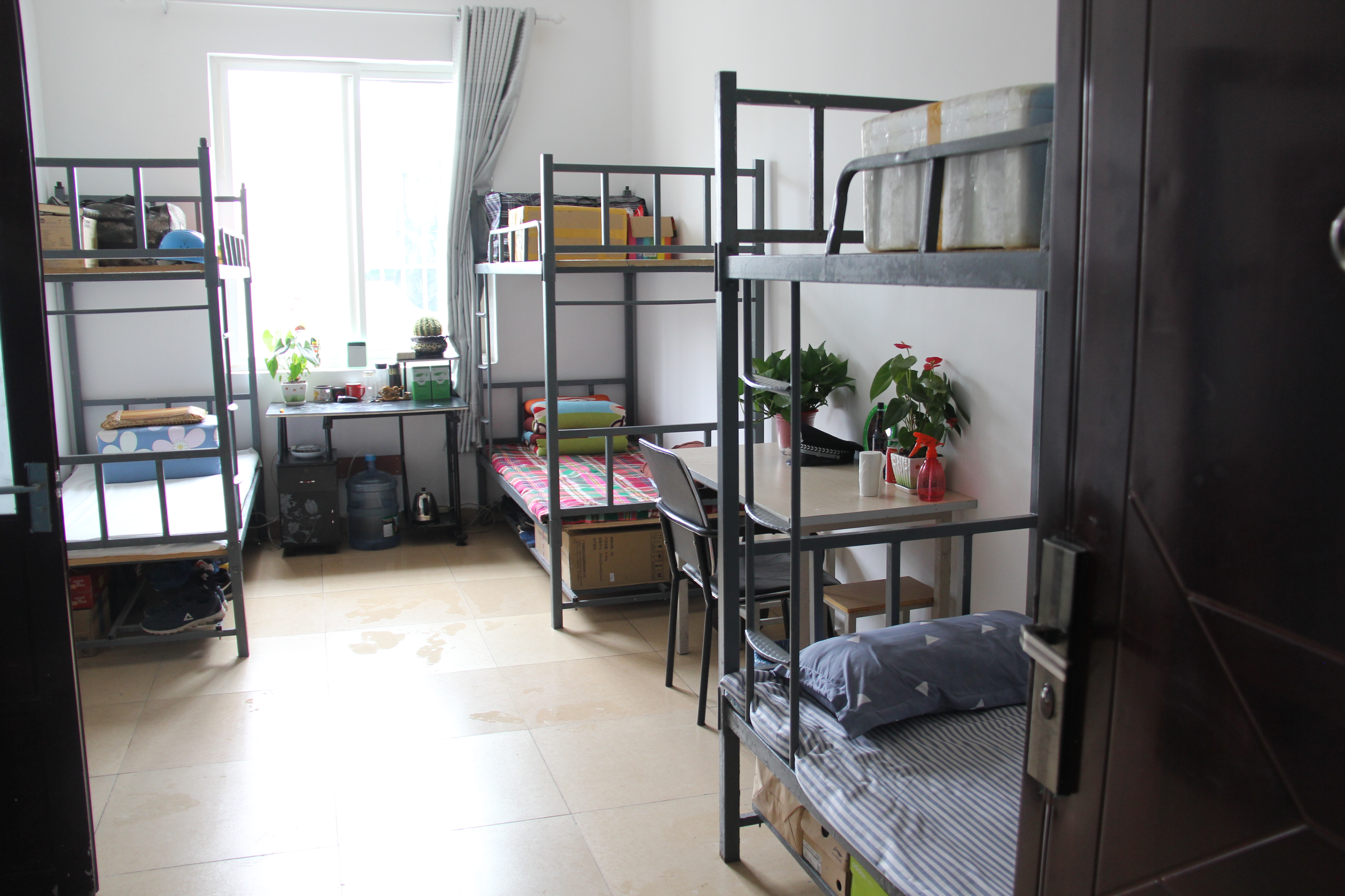 ӄӑBκڲ2019ϰꡰӰᡱuȻӈAMY