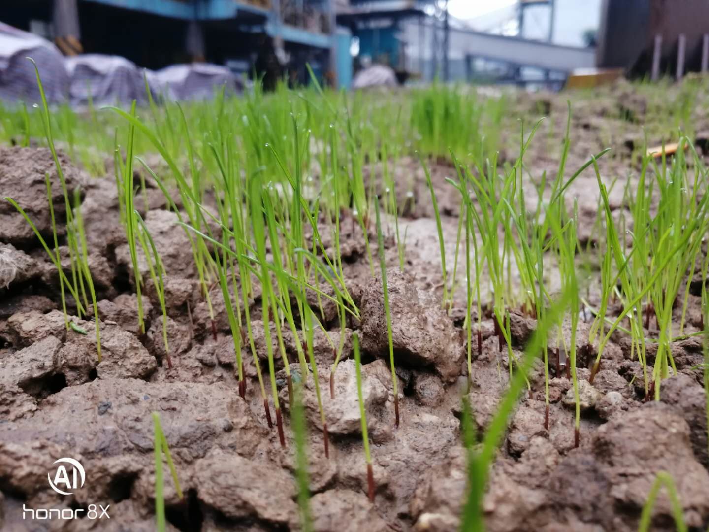 �����ӄӑB�������@���һƬ�G��