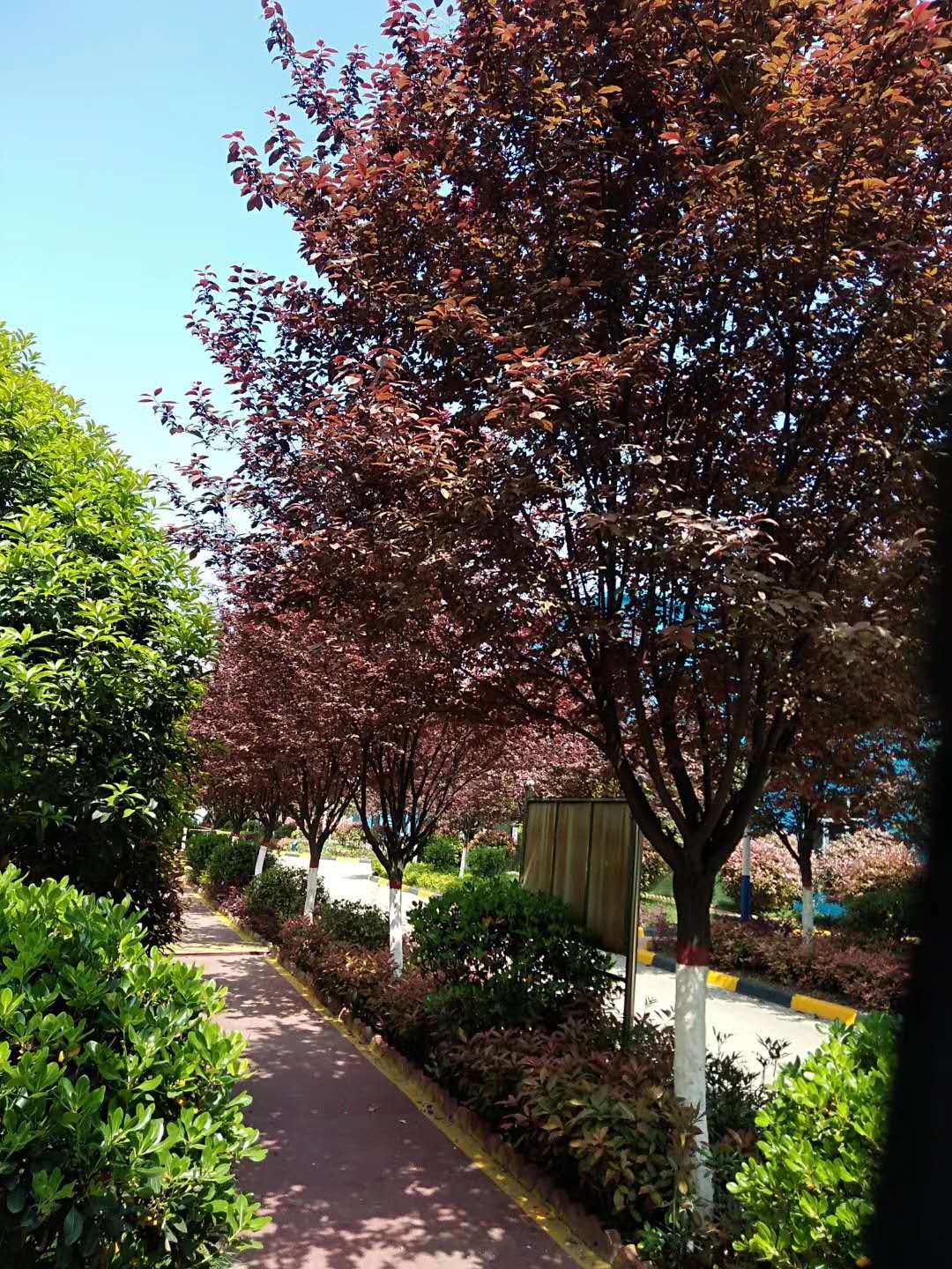 ��䓳���Է��䓳ǻ��@���ҡ��ҡ�