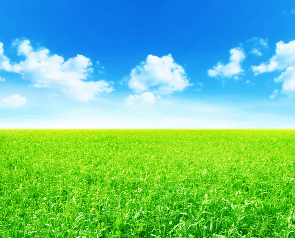 ��䓳���Է�����ź���������