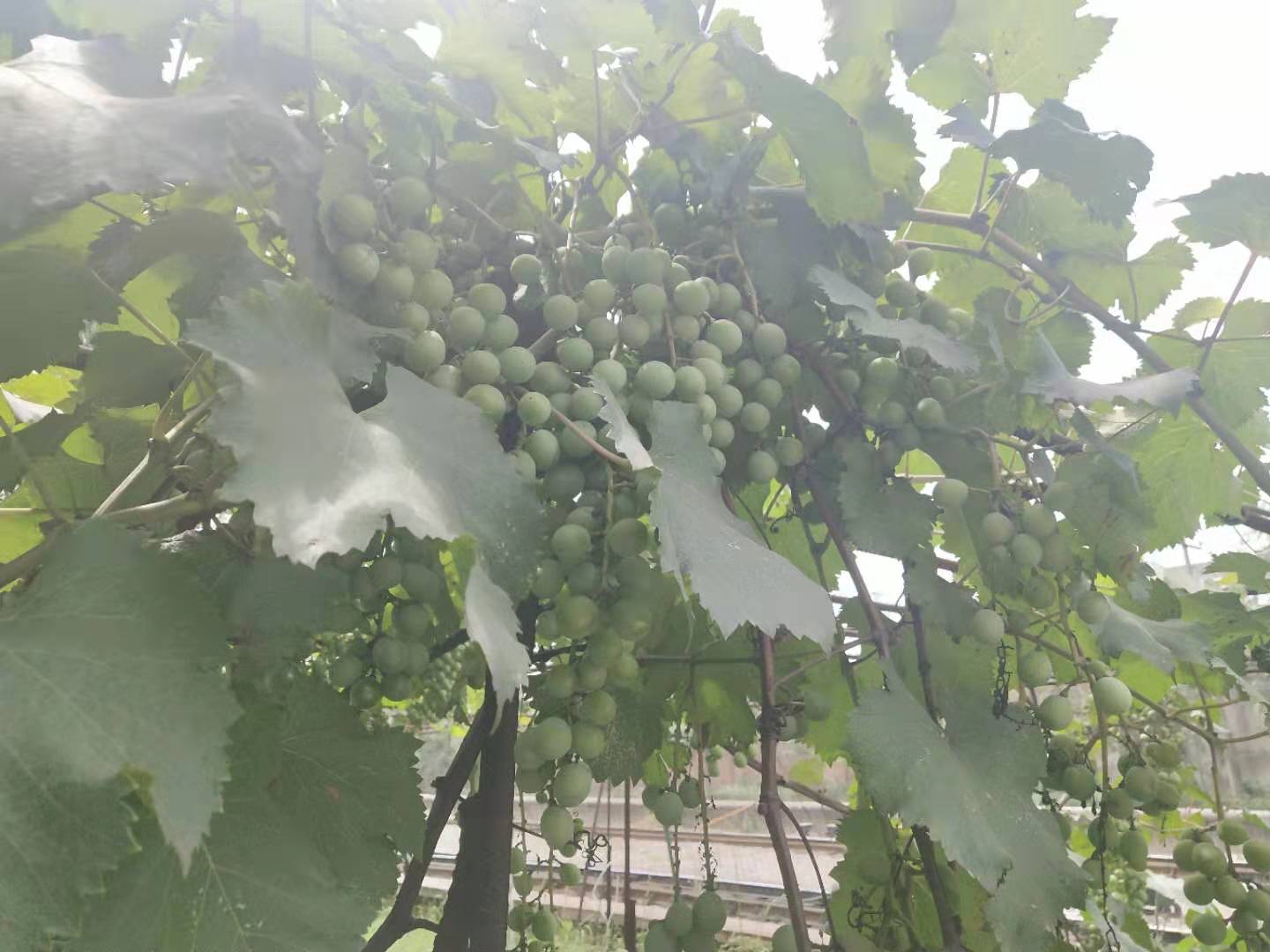 ��䓳���Է��䓳��L���@߅����