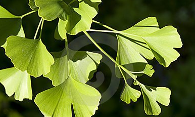 ��䓳���Է������y��