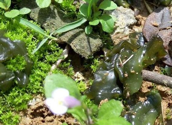 ��䓳���Է�����ܛ