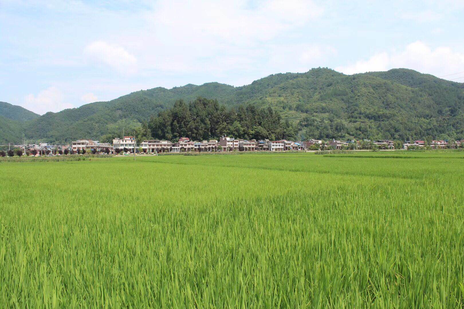 ��䓳���Է������