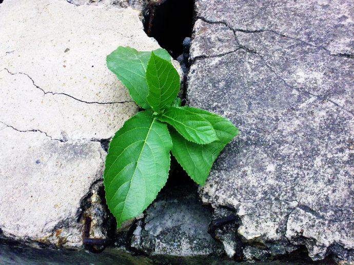 ��䓳���Է�����L���Z