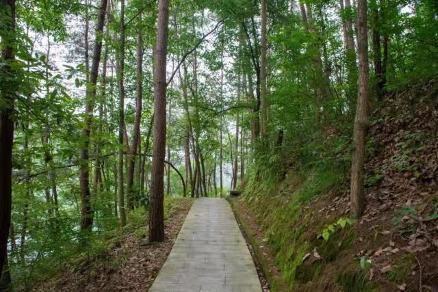 ��䓳���Է���Ϻ�����