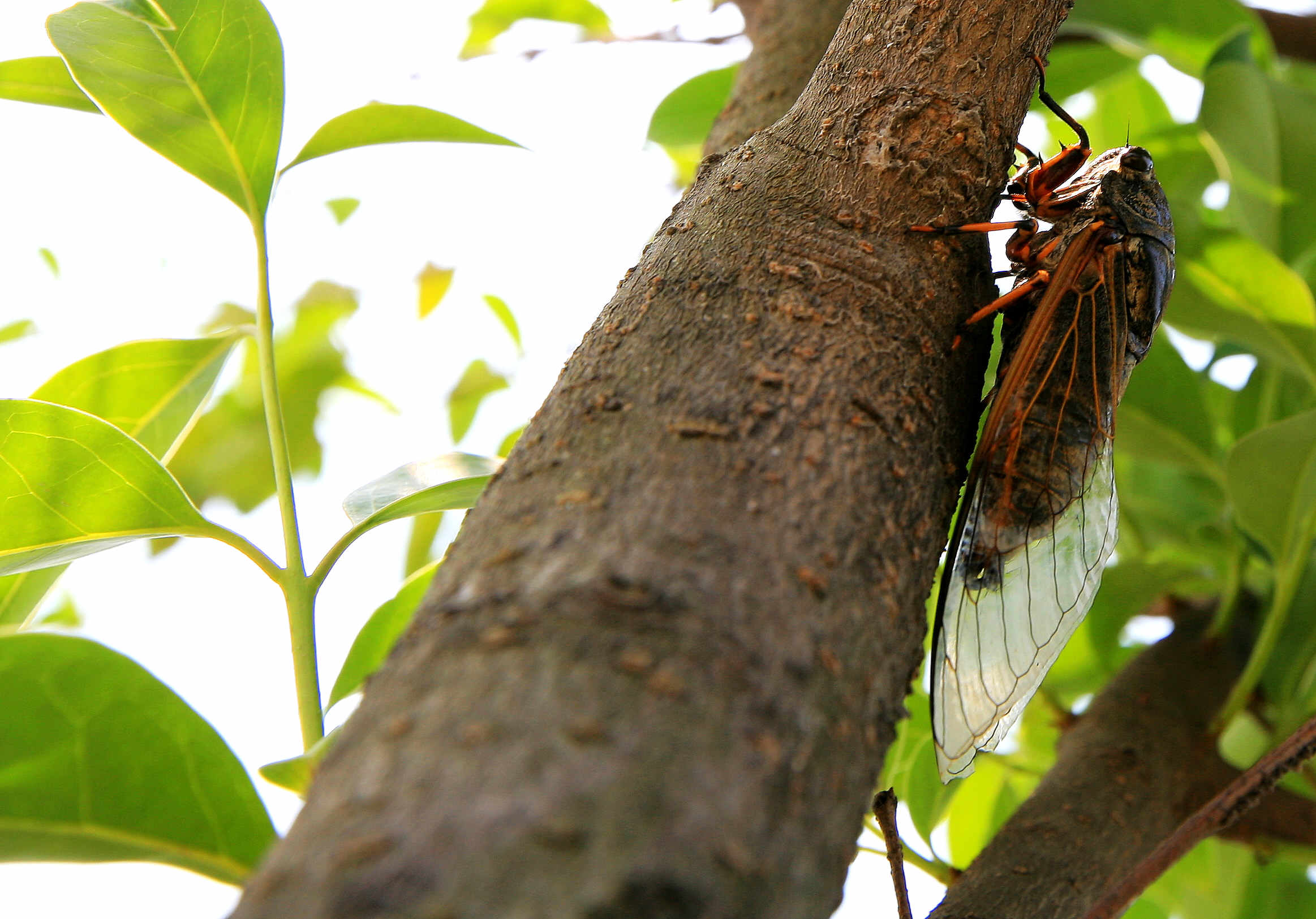 ��䓳���Է���s���uϡ