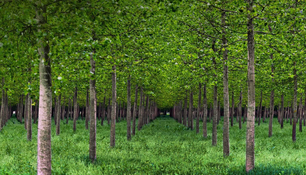 ��䓳���Է���ҵİח����