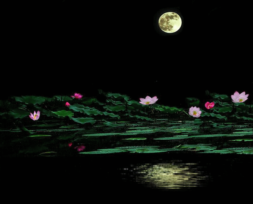 ��䓳���Է��������ɫ