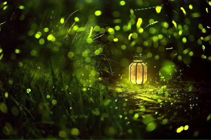 ��䓳���Է��Ξ���x