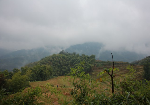 ��䓳���Է������