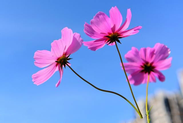 ��䓳���Է�����Z