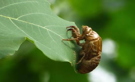 ��䓳���Է���s