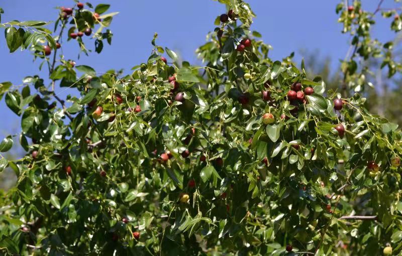 ��䓳���Է��Ժ����ė���