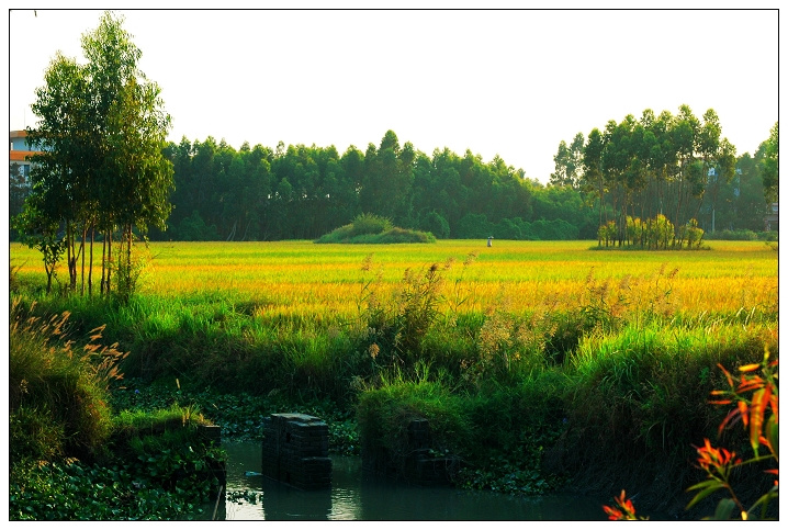 【鋼城文苑】金秋時節