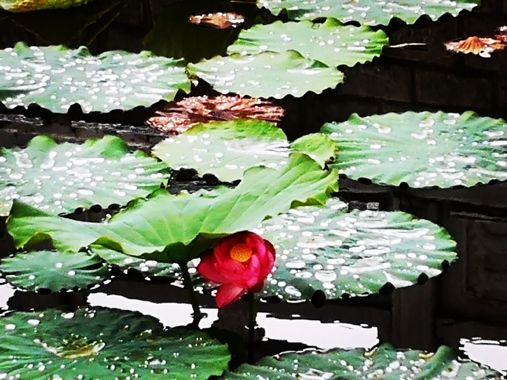 ��䓳���Է�� (t��ng)��