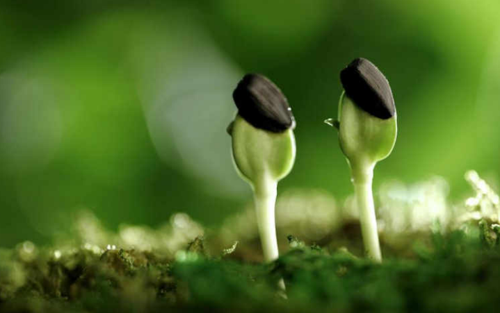 ��䓳���Է��͑׃