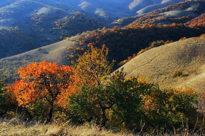 ��䓳���Է�����