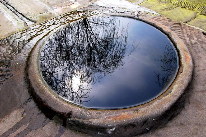 ��䓳���Է���Ͼ�