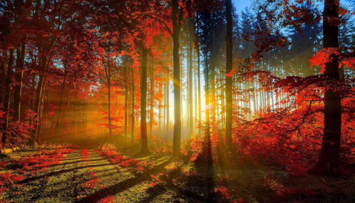 ��䓳���Է�����������퍺�