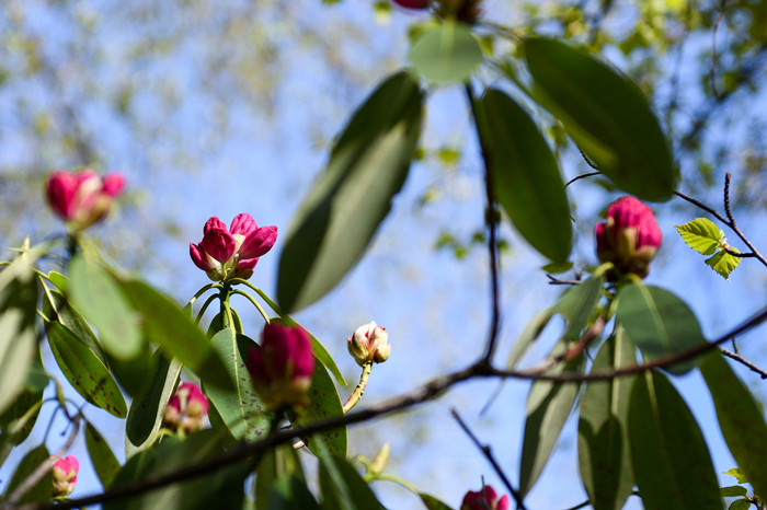 ��䓳���Է�����պ���