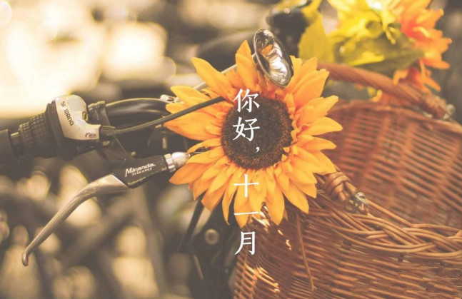 【鋼城文苑】十一月，收獲美好