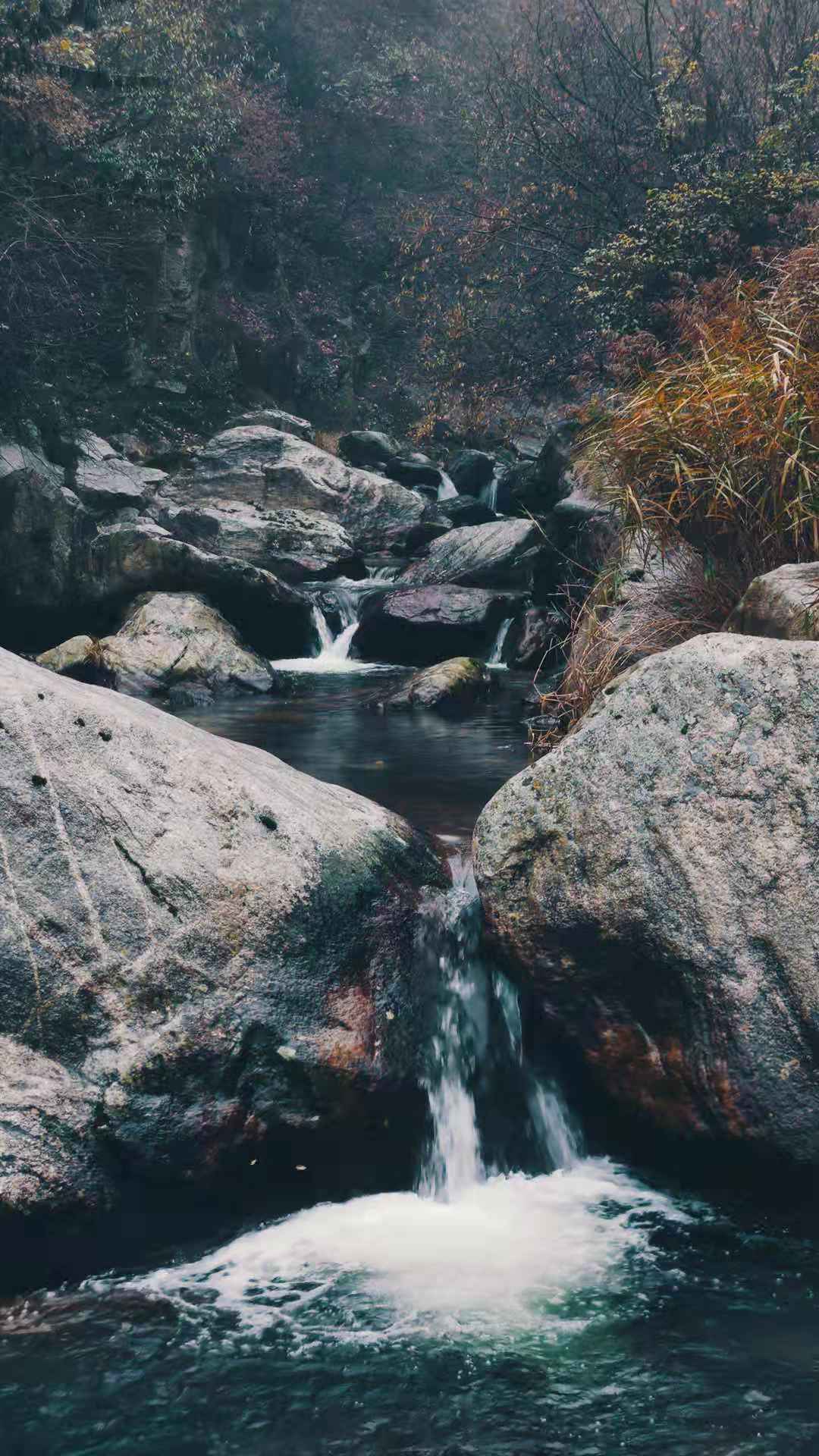 ��䓳���Է��������ɽ�ǹ�